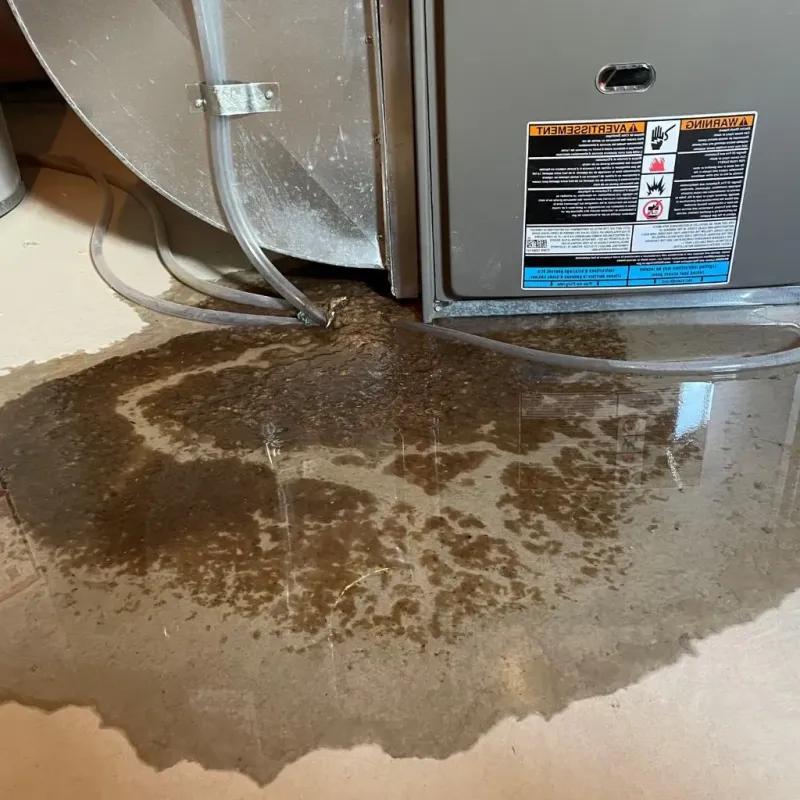 Pipe Burst and Leak Restoration in Kemah, TX